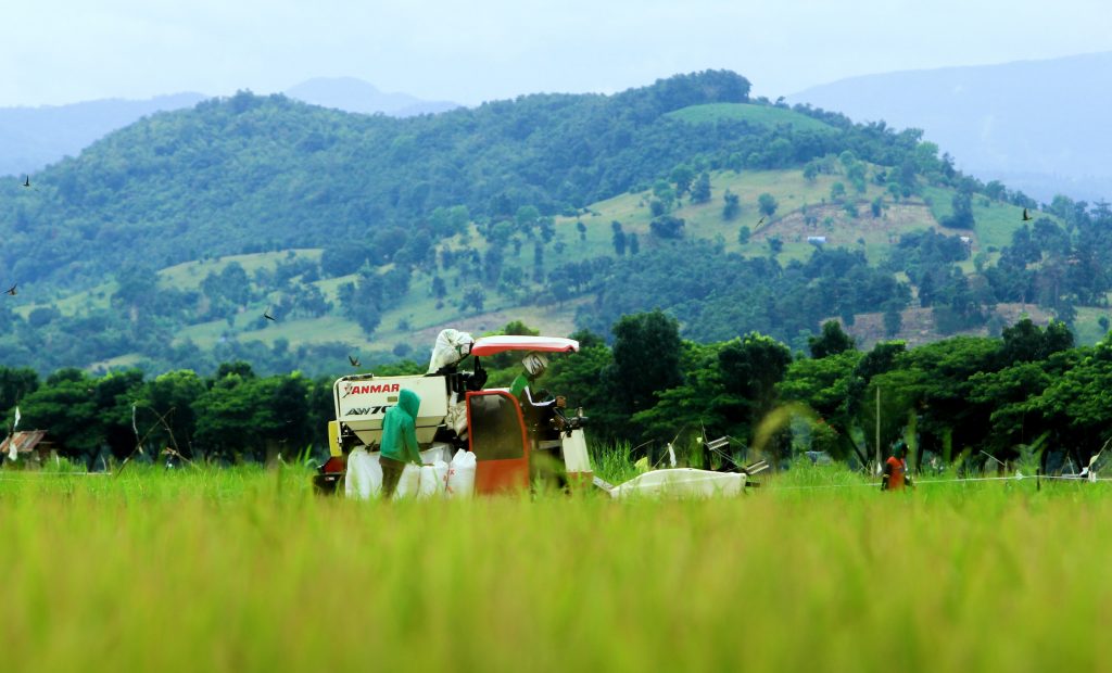 Migrant workers